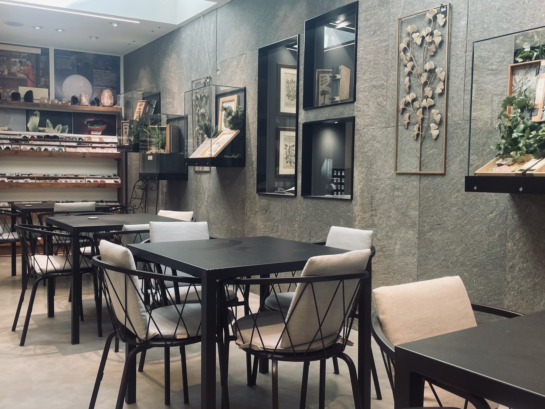 Wachtler botanico - seminterrato