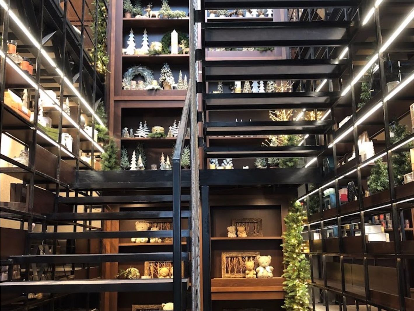 Mondo vegetale - Botanica Wachtler