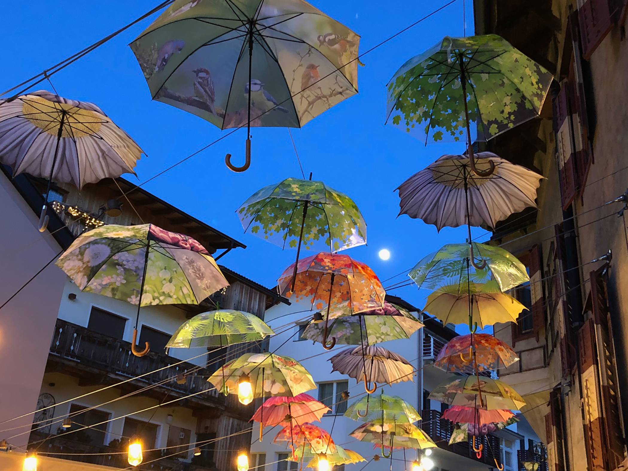 Wachtler botanico - Ombrelli